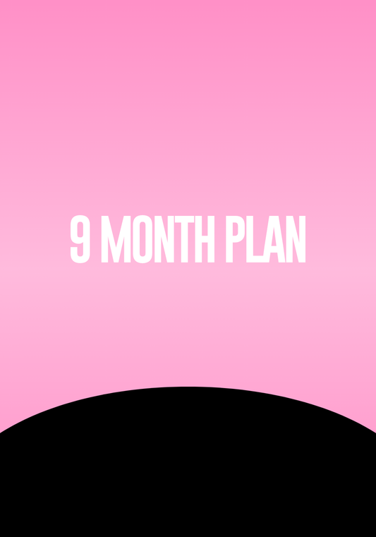 9 Month Plan