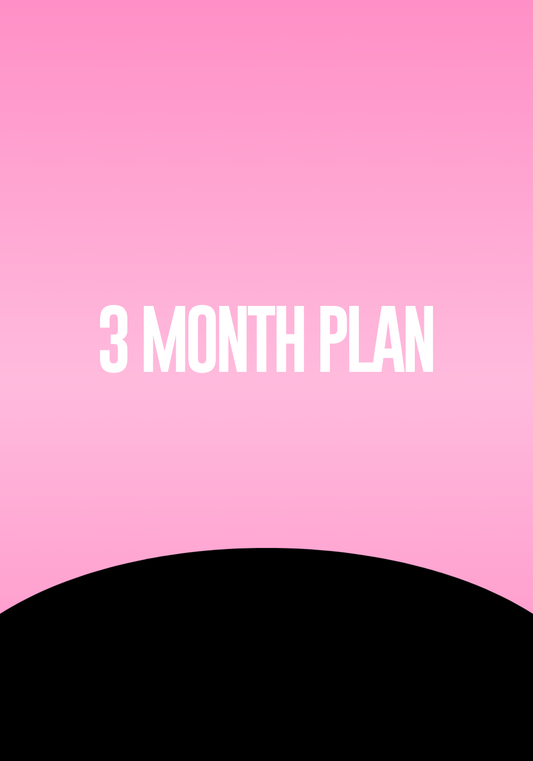 3 Month Plan