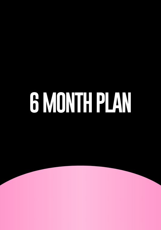 6 Month Plan