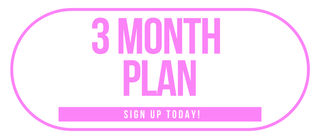 3 Month Plan Hover Image