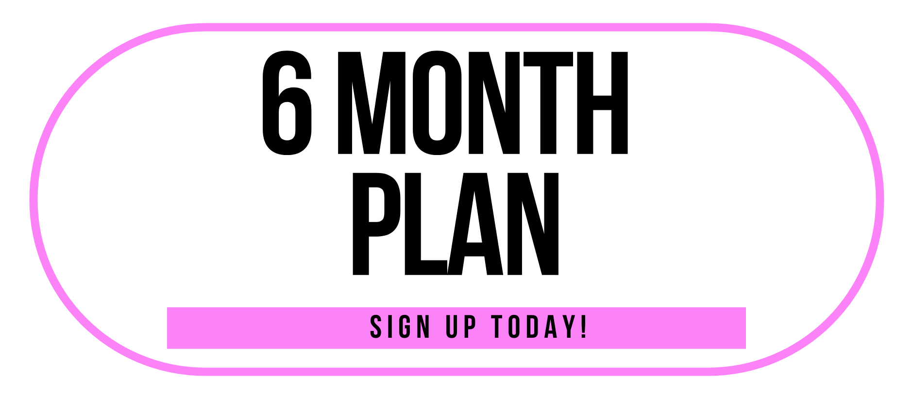 6 Month Plan