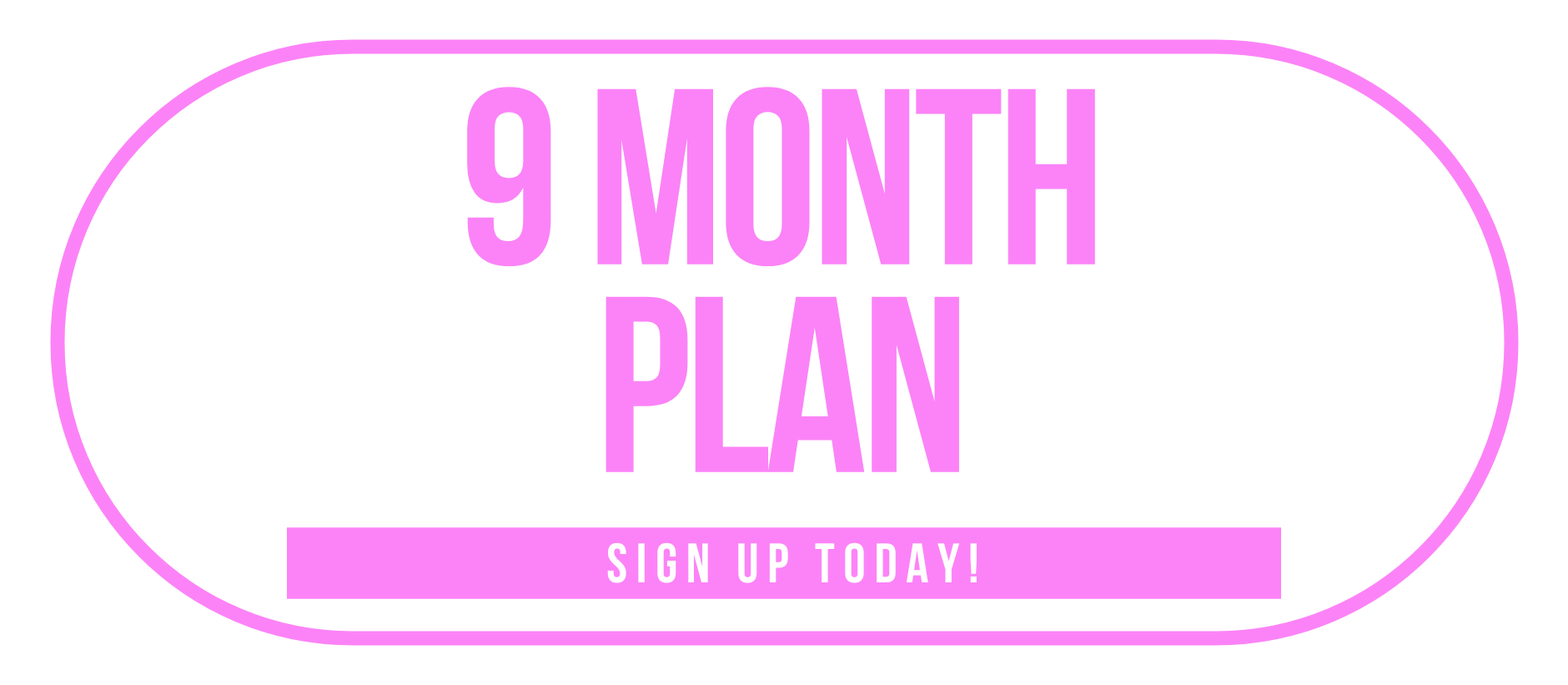 9 Month Plan